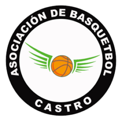 LogoCastro copia